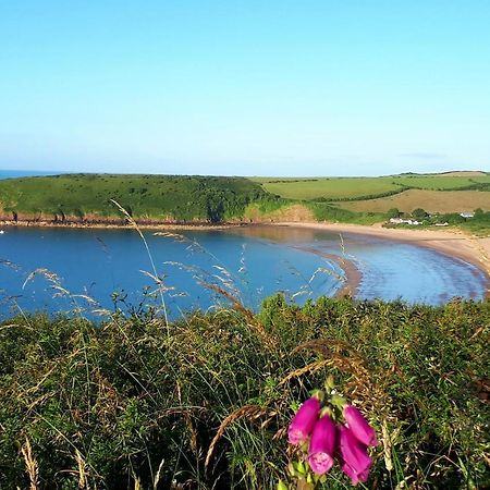 A Beach Holiday In Pembrokeshire エクステリア 写真